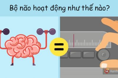 6 sự thật thú vị về cơ thể người