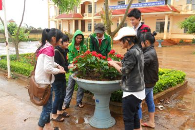 Kế hoạch trồng và chăm sóc chậu hoa Thanh niên 2017 – 2018