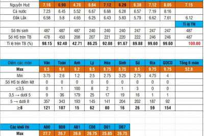 Kết quả thi TN THPT 2024