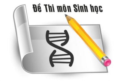 Đề – đáp án KT cuối HK2 năm 2020-2021 môn Sinh học lớp 10