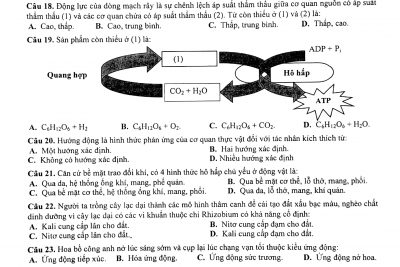 Kết quả Kiểm tra tập trung môn Sinh học lớp 12 – năm 2018