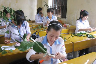 Thông báo: Tổ chức thi nghề Phổ thông cho HS khối 12 năm 2021-2022