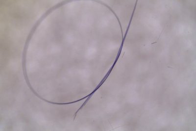 Một số loại nút dây thông dụng