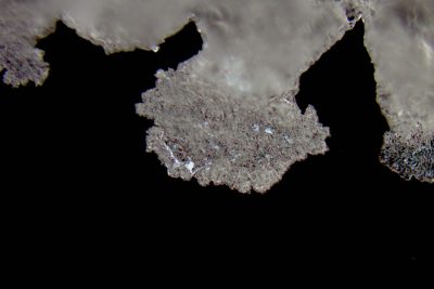 Các nhà khoa học phát hiện tinh thể cũng có thể bị bẻ cong